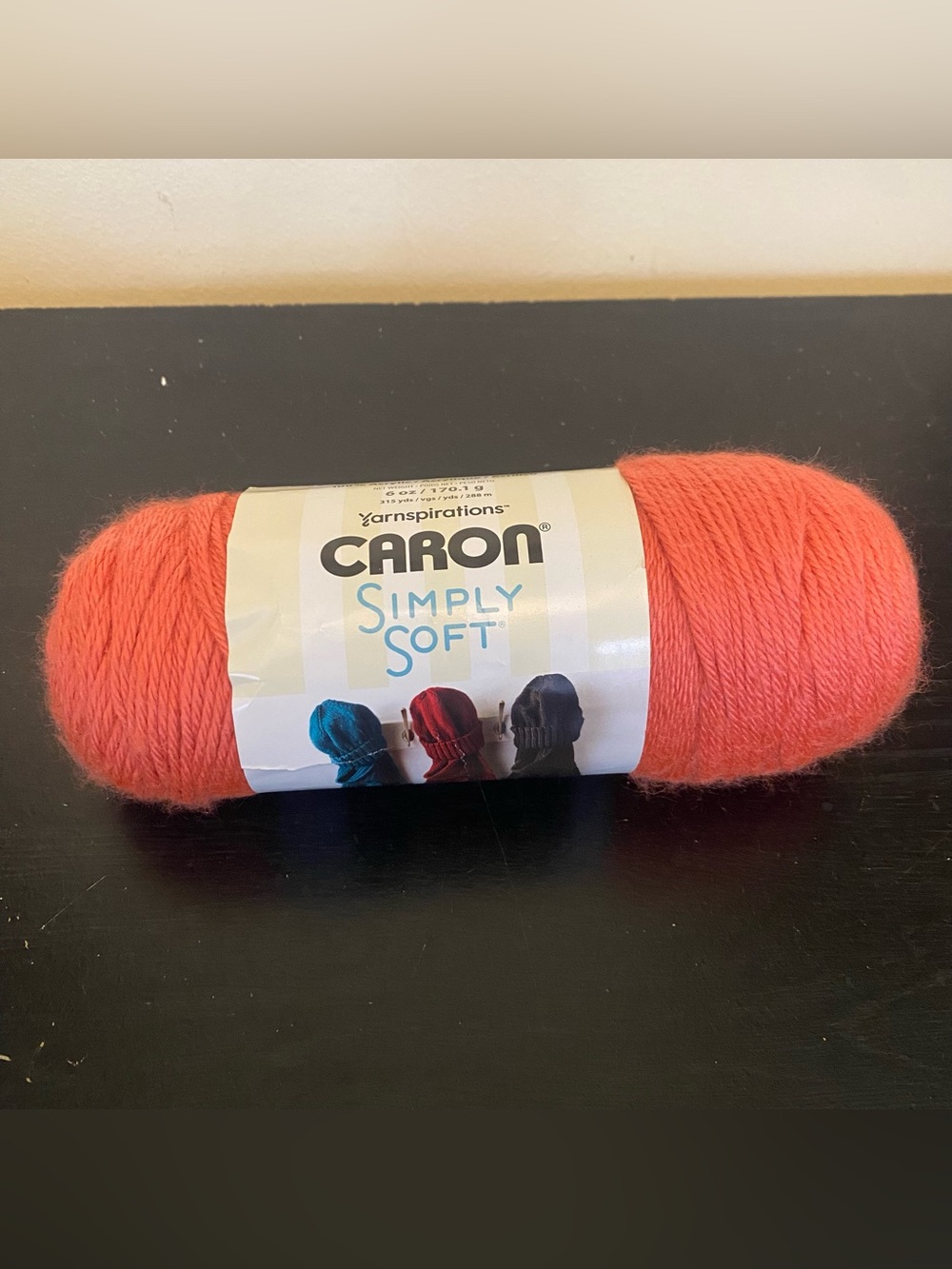 Yarnspirations Caron Simply Soft Yarn Skein Persimmon H97003 Lot 2023-10-8095